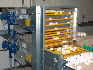 Jansen MultiFlex