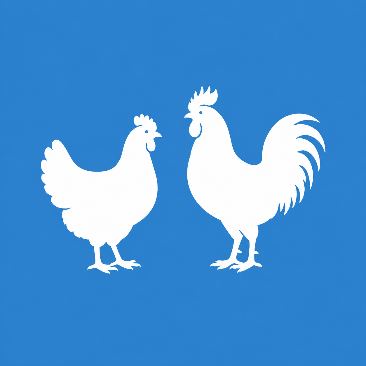 Broiler Breeders